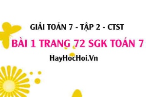 Giải bài 1 trang 72 Toán 7 tập 2 SGK Chân trời sáng tạo